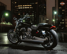 Sportster Iron XL 883N